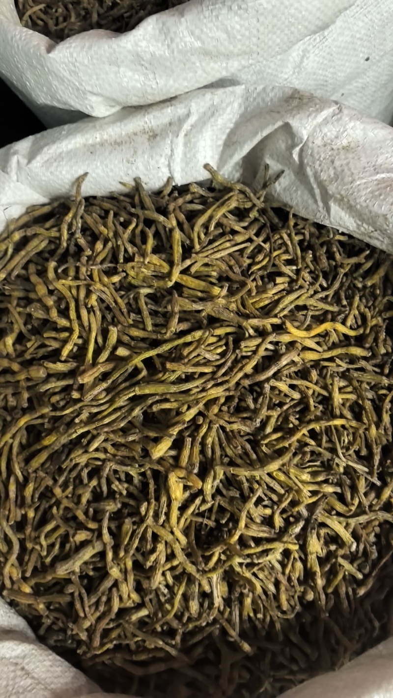 铁皮石斛，铁皮石斛条，霍山铁皮石斛，可以免费打粉