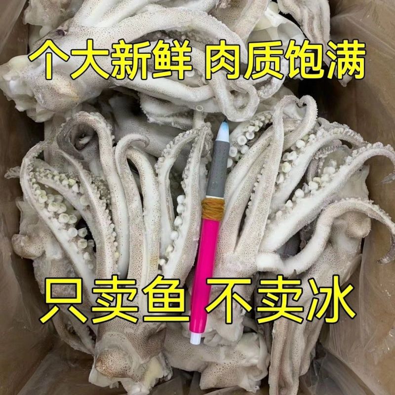 鱿鱼头新鲜速冻鱿鱼头鱿鱼须铁板烧烤火锅食材
