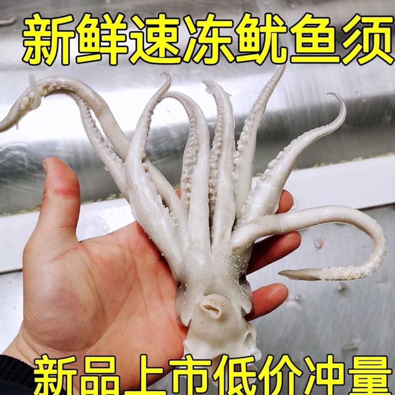 鱿鱼头新鲜速冻鱿鱼头鱿鱼须铁板烧烤火锅食材