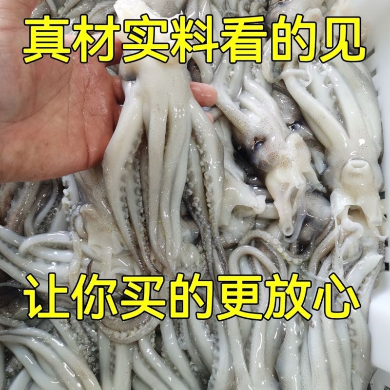 鱿鱼头新鲜速冻鱿鱼头鱿鱼须铁板烧烤火锅食材