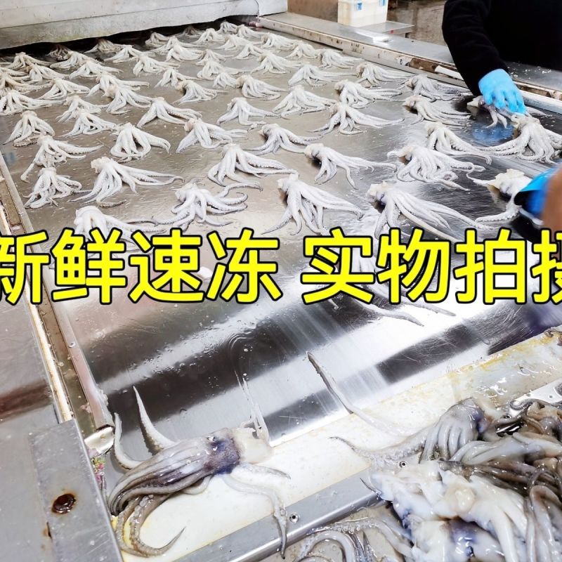 鱿鱼头新鲜速冻鱿鱼头鱿鱼须铁板烧烤火锅食材