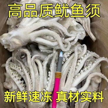 鱿鱼头新鲜速冻鱿鱼头鱿鱼须铁板烧烤火锅食材
