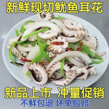 鱿鱼条鱿鱼断耳条新鲜速冻无冰衣价格便宜20斤/箱