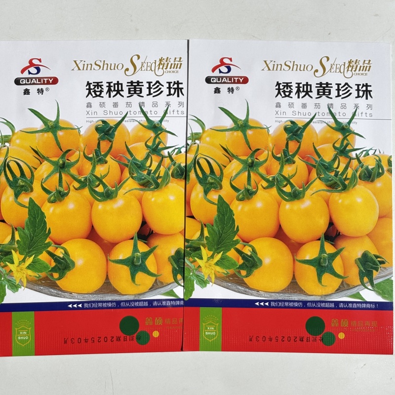 矮秧黄珍黄番茄种早生果硬肉质脆超甜特矮小西红柿盆栽小番茄