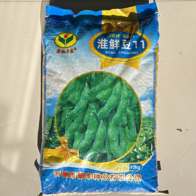 淮鲜豆11毛豆种子中熟大青毛豆高产大豆南北方春夏四季蔬菜