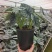 白犀牛海芋盆栽稀有热带植物室内绿植客厅桌面阳台小盆景高质感