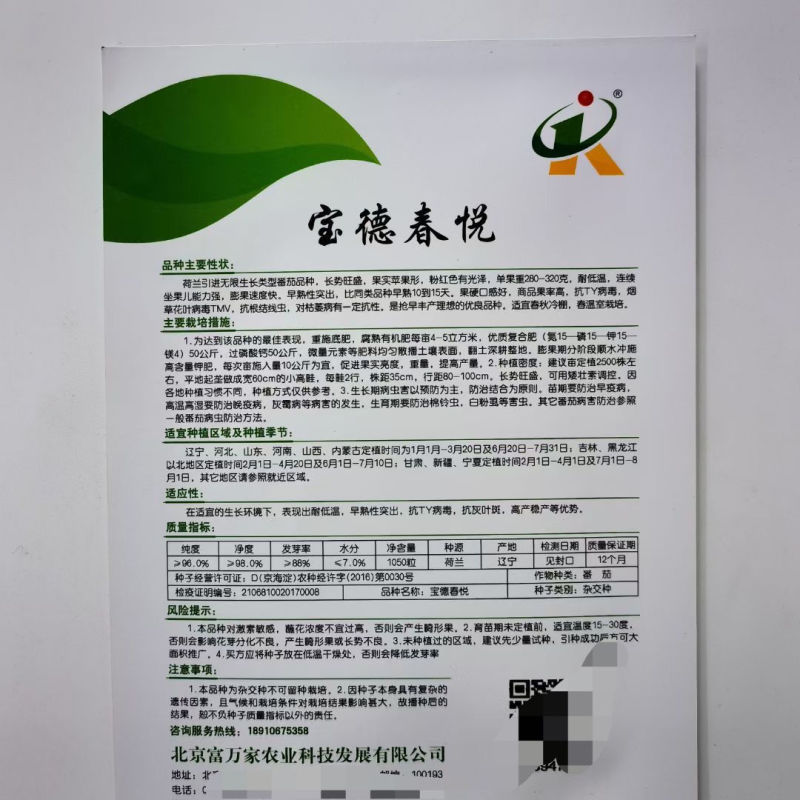 宝德春悦无限生长型番茄种子粉果大果型硬度高荷兰引进品种