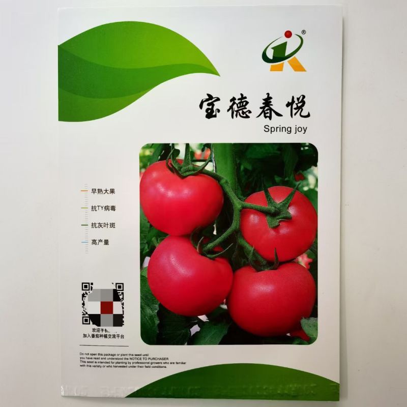 宝德春悦无限生长型番茄种子粉果大果型硬度高荷兰引进品种