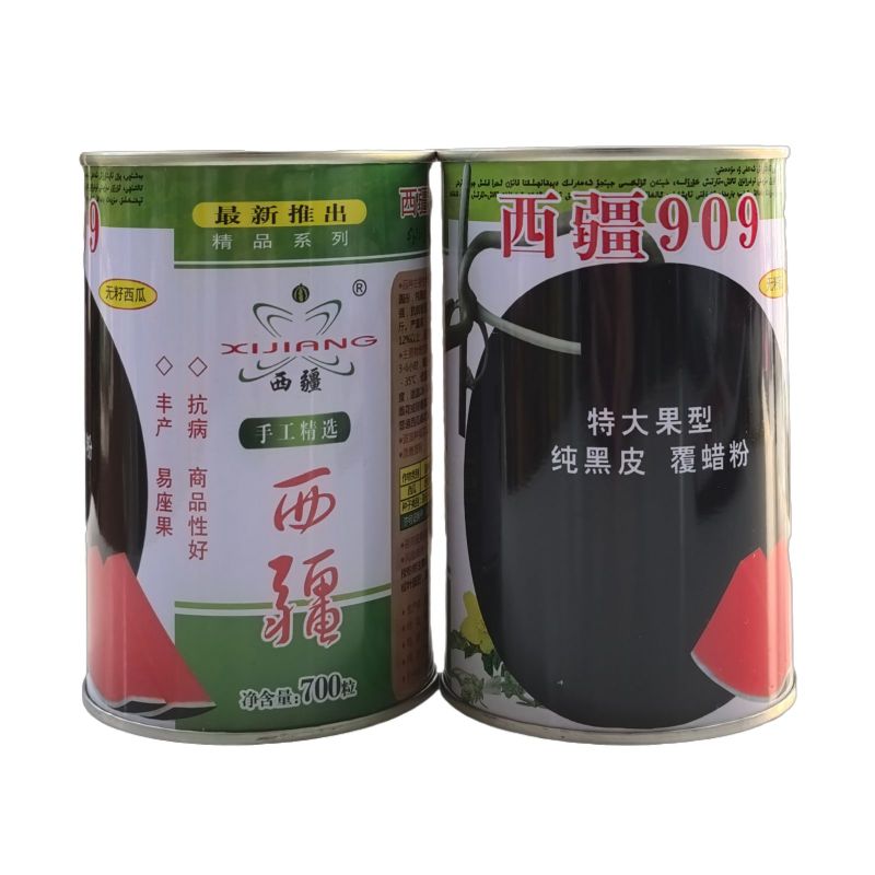 新疆西疆909无籽黑皮大西瓜种子甜脆大果高产抗病商品性佳