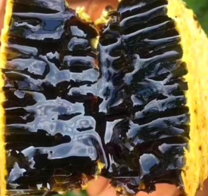 云南普洱大山黑蜂蜜《支持检测》假一赔十