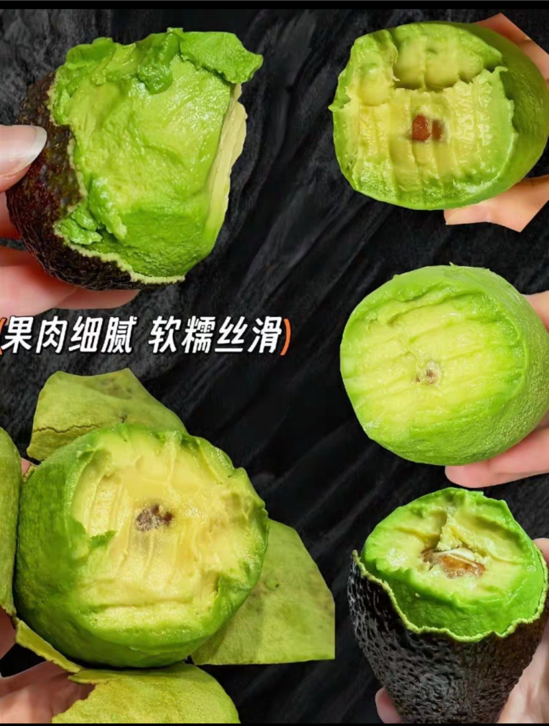 牛油果苗，嫁接苗，营养杯苗带土带叶发货的
