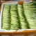 新鲜菜心
