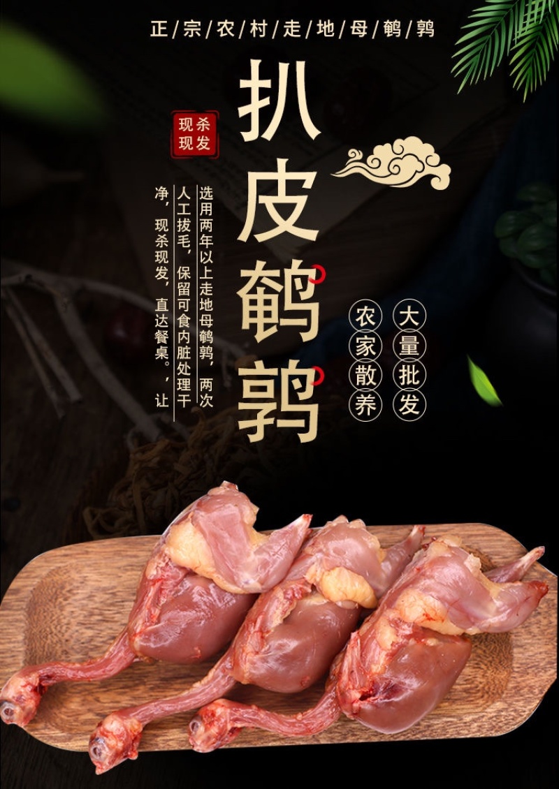 去皮去内脏母鹌鹑扒皮鹌鹑滋补炖汤油炸烧烤食材