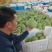 零农残留香芋味小冬瓜炒菜时满屋子的香芋味