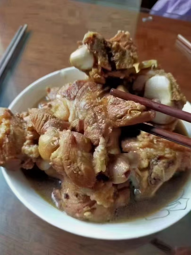 关节骨