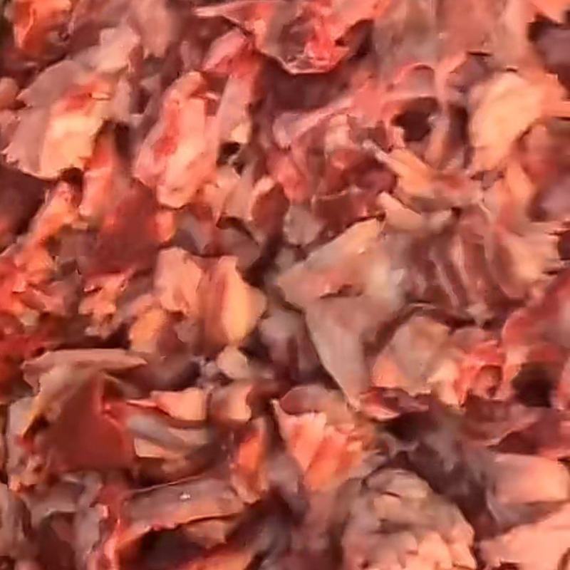 《山东牛碎肉》牛碎肉/对接全网常超档口/支持一件代发