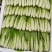 四川小白菜/大棚小白菜/新鲜采摘/货量充足/欢迎来电咨询