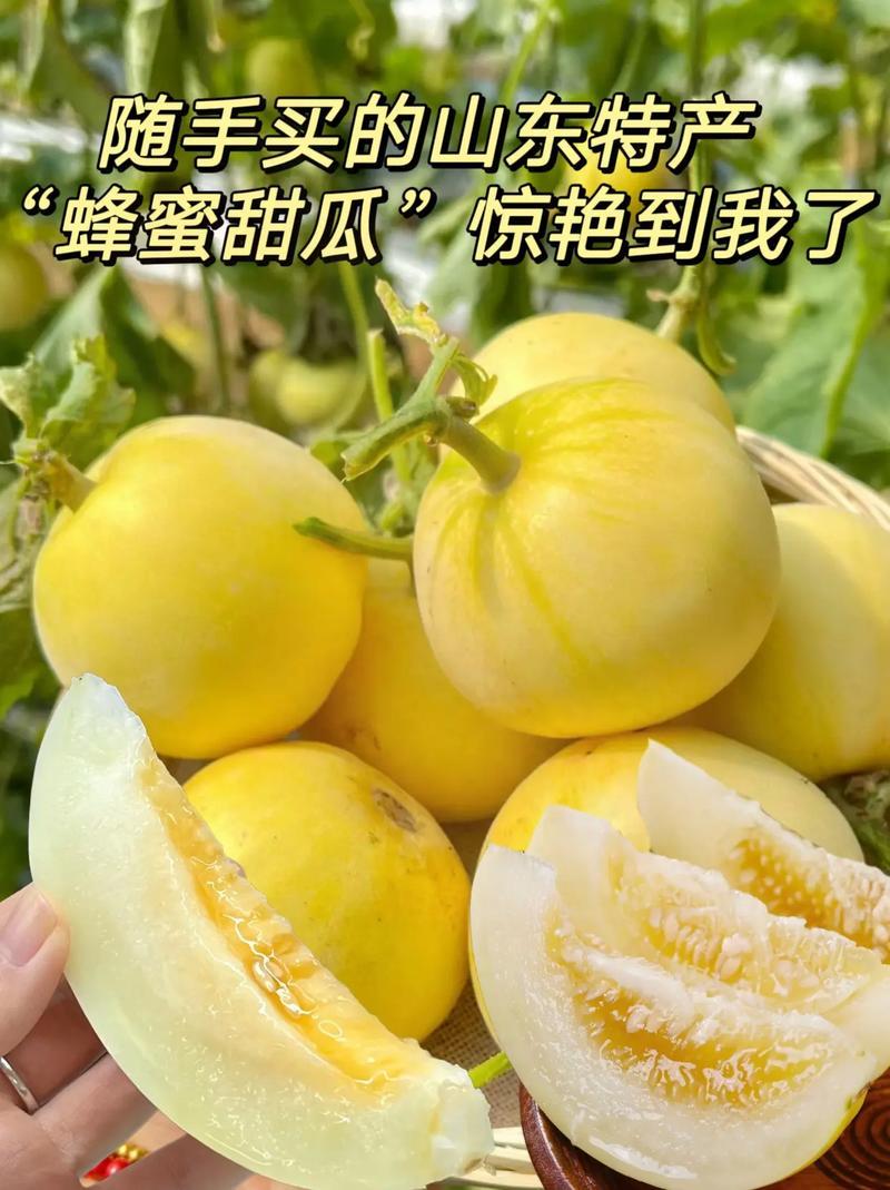 星甜甜瓜！对接电商、多多买菜、市场、商超、一件代发