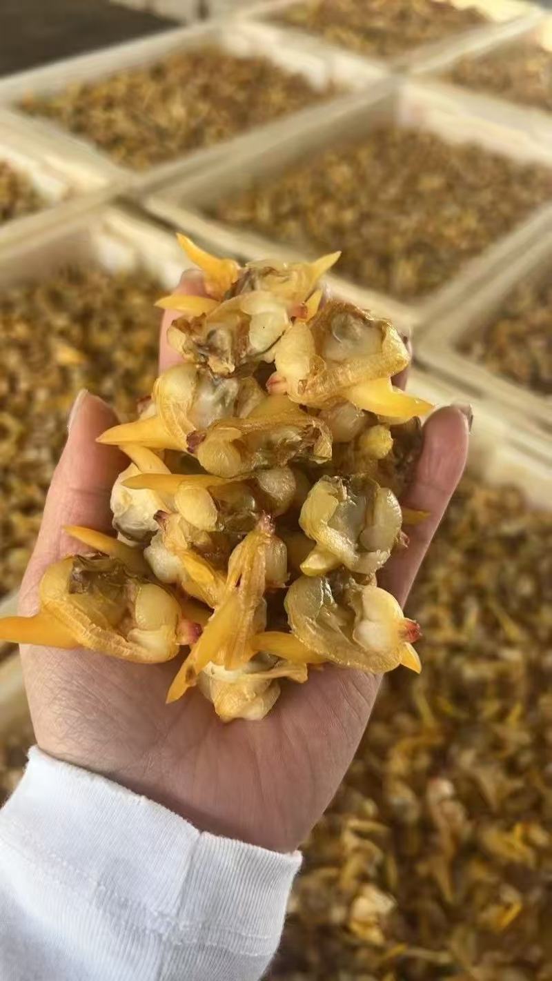 全年发丹东黄蚬子干一箱20可打小包装发货物流团购