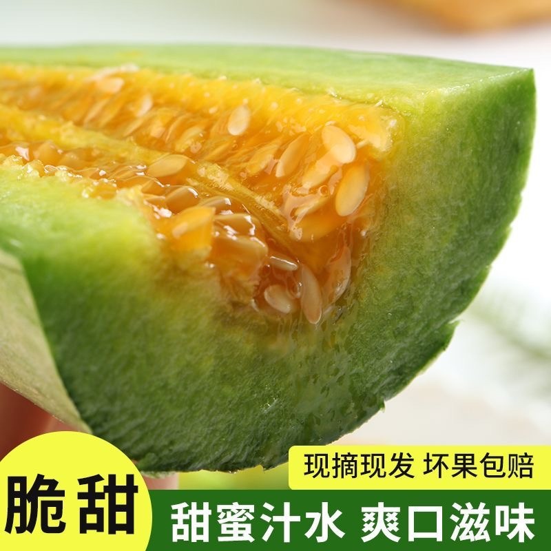 头茬羊角蜜鲜嫩爽口满口汁水现摘现发入口脆甜