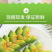 头茬羊角蜜鲜嫩爽口满口汁水现摘现发入口脆甜