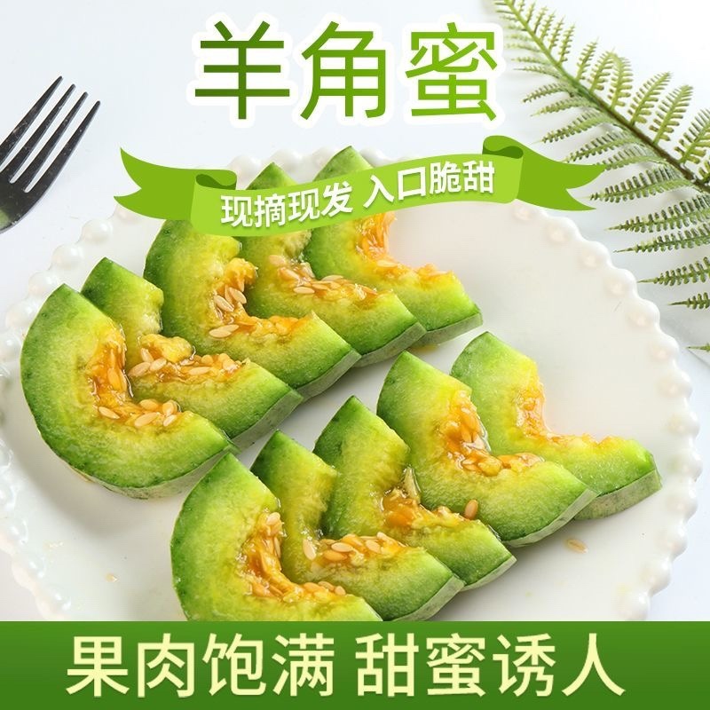 头茬羊角蜜鲜嫩爽口满口汁水现摘现发入口脆甜