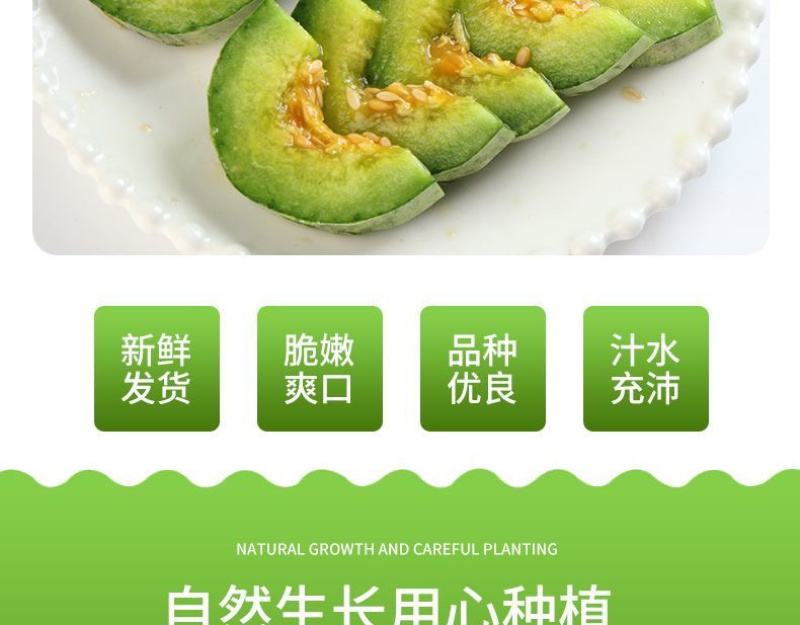 头茬羊角蜜鲜嫩爽口满口汁水现摘现发入口脆甜