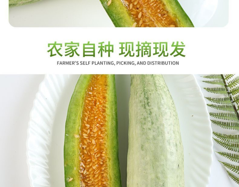 头茬羊角蜜鲜嫩爽口满口汁水现摘现发入口脆甜