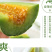 头茬羊角蜜鲜嫩爽口满口汁水现摘现发入口脆甜
