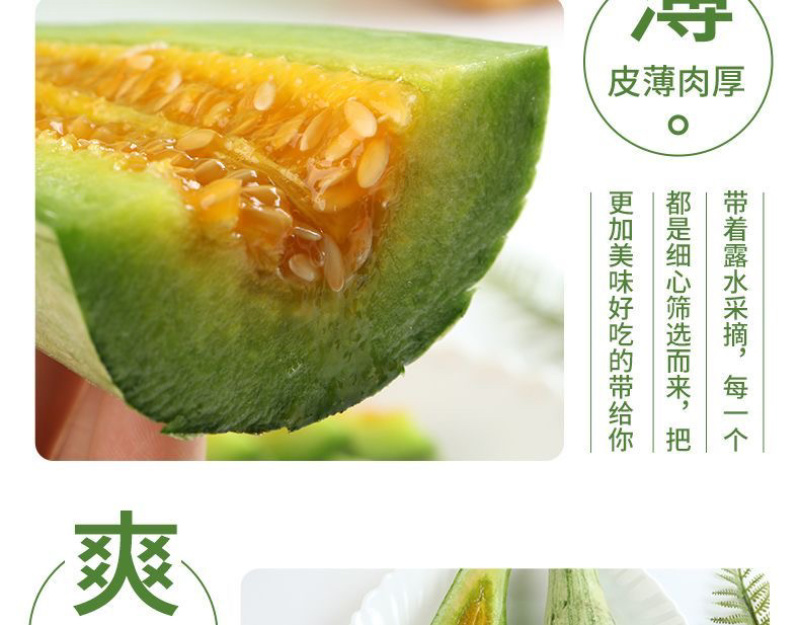 头茬羊角蜜鲜嫩爽口满口汁水现摘现发入口脆甜