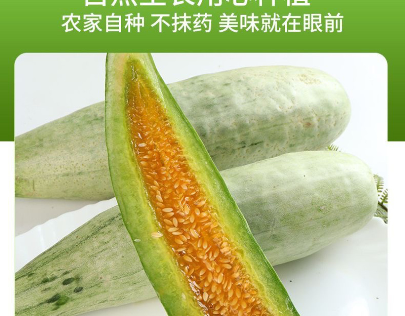 头茬羊角蜜鲜嫩爽口满口汁水现摘现发入口脆甜