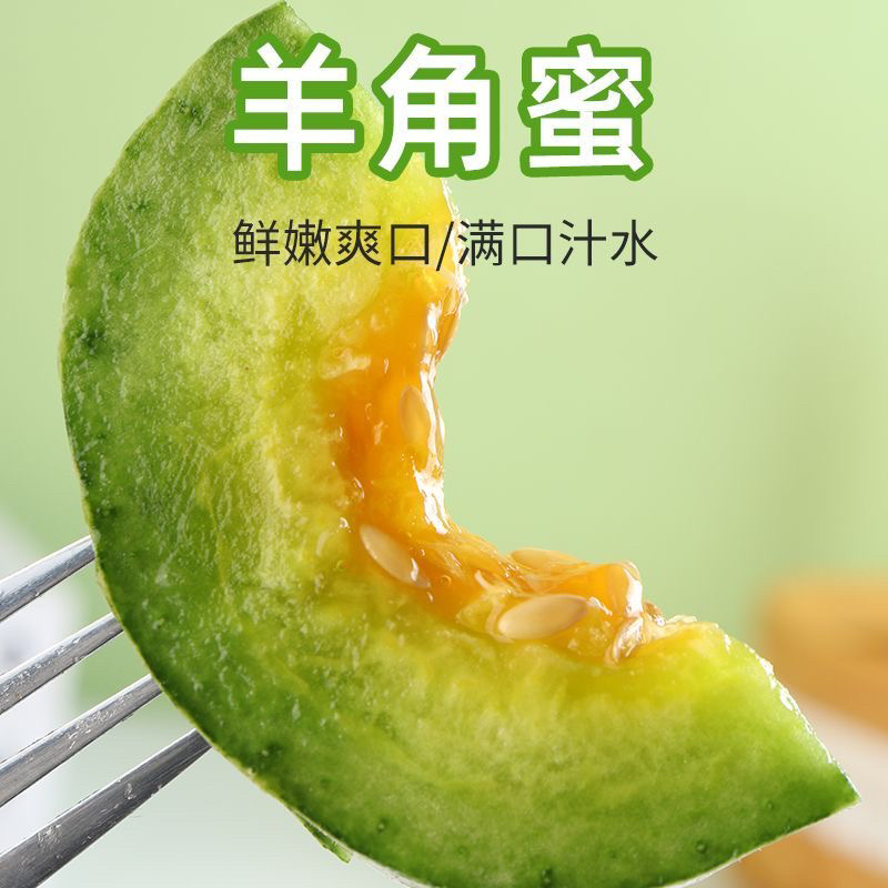 头茬羊角蜜鲜嫩爽口满口汁水现摘现发入口脆甜