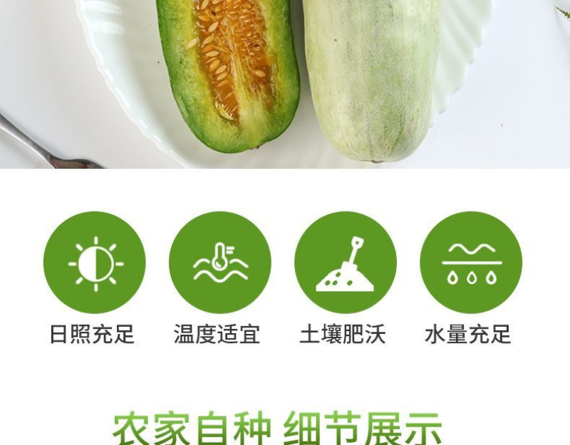 头茬羊角蜜鲜嫩爽口满口汁水现摘现发入口脆甜