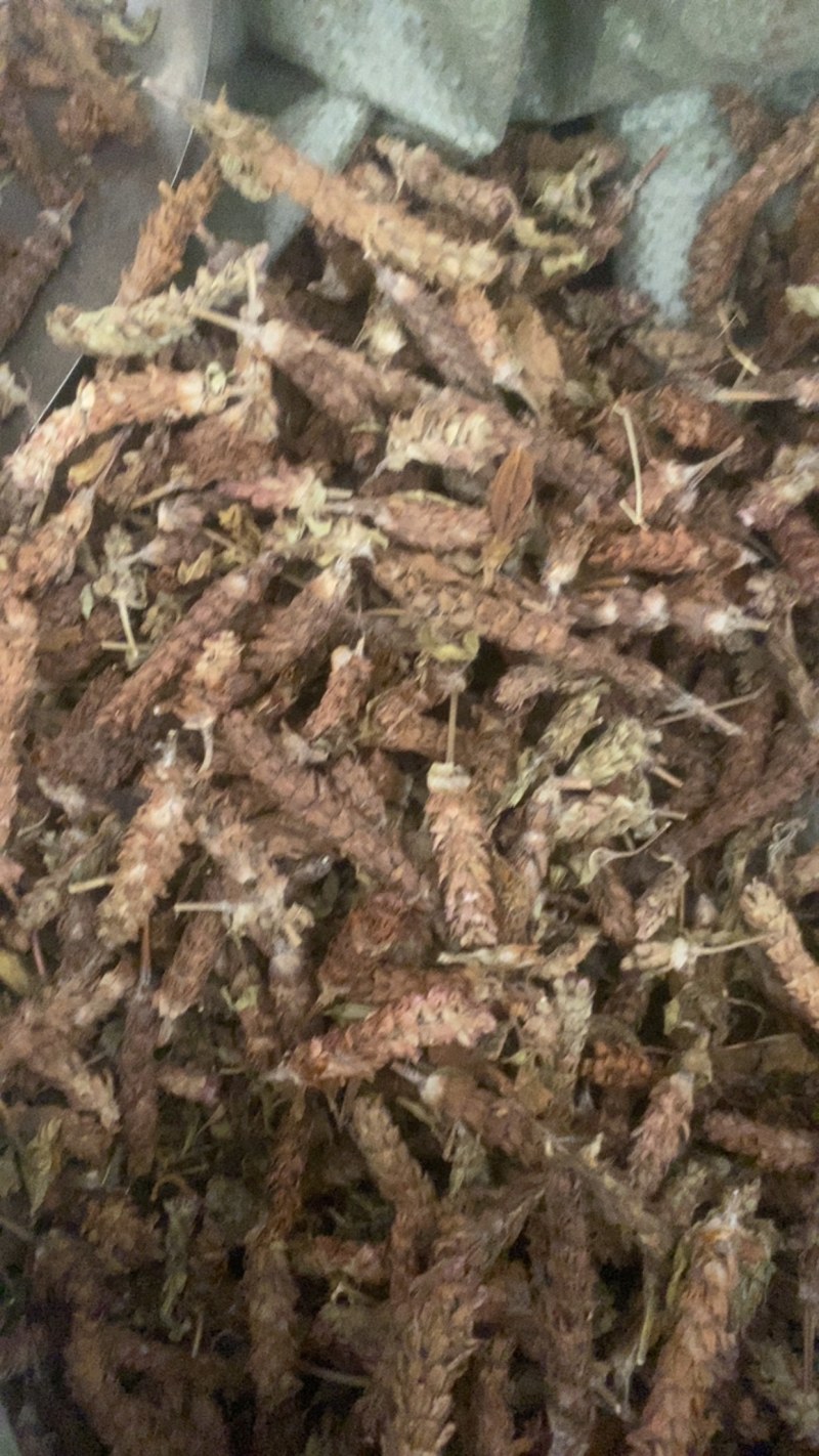 夏枯球便宜不贵又实惠欢迎咨询/线下10年老店/全国发货