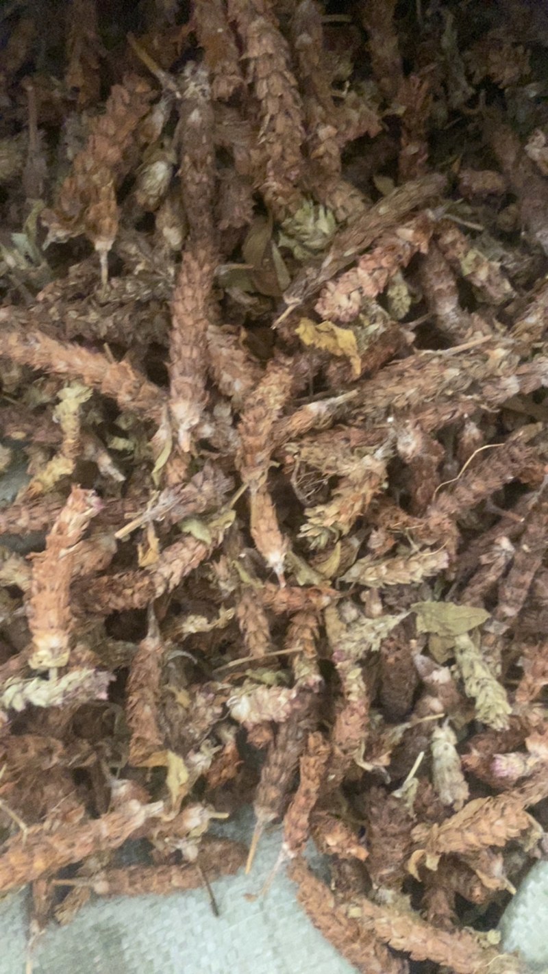 夏枯球便宜不贵又实惠欢迎咨询/线下10年老店/全国发货