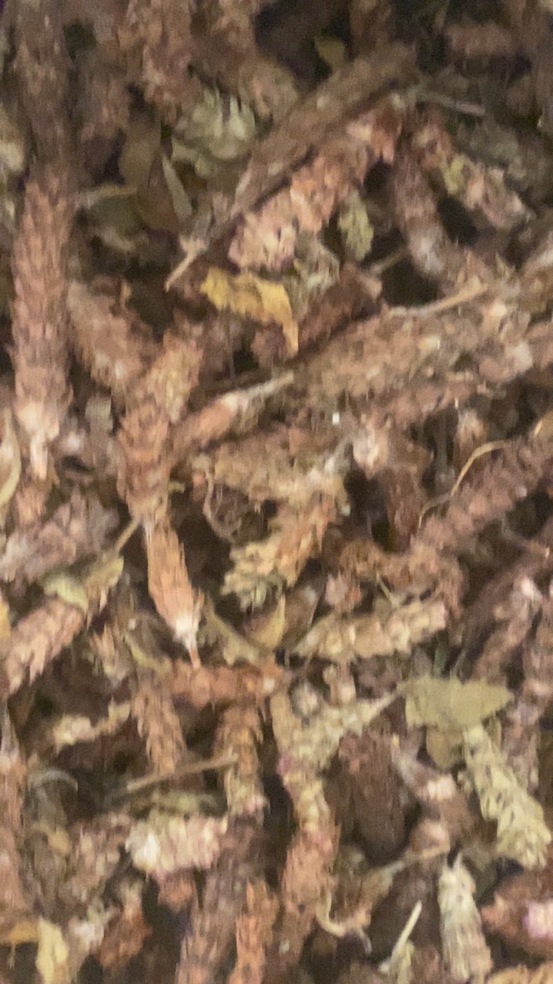 夏枯球便宜不贵又实惠欢迎咨询/线下10年老店/全国发货