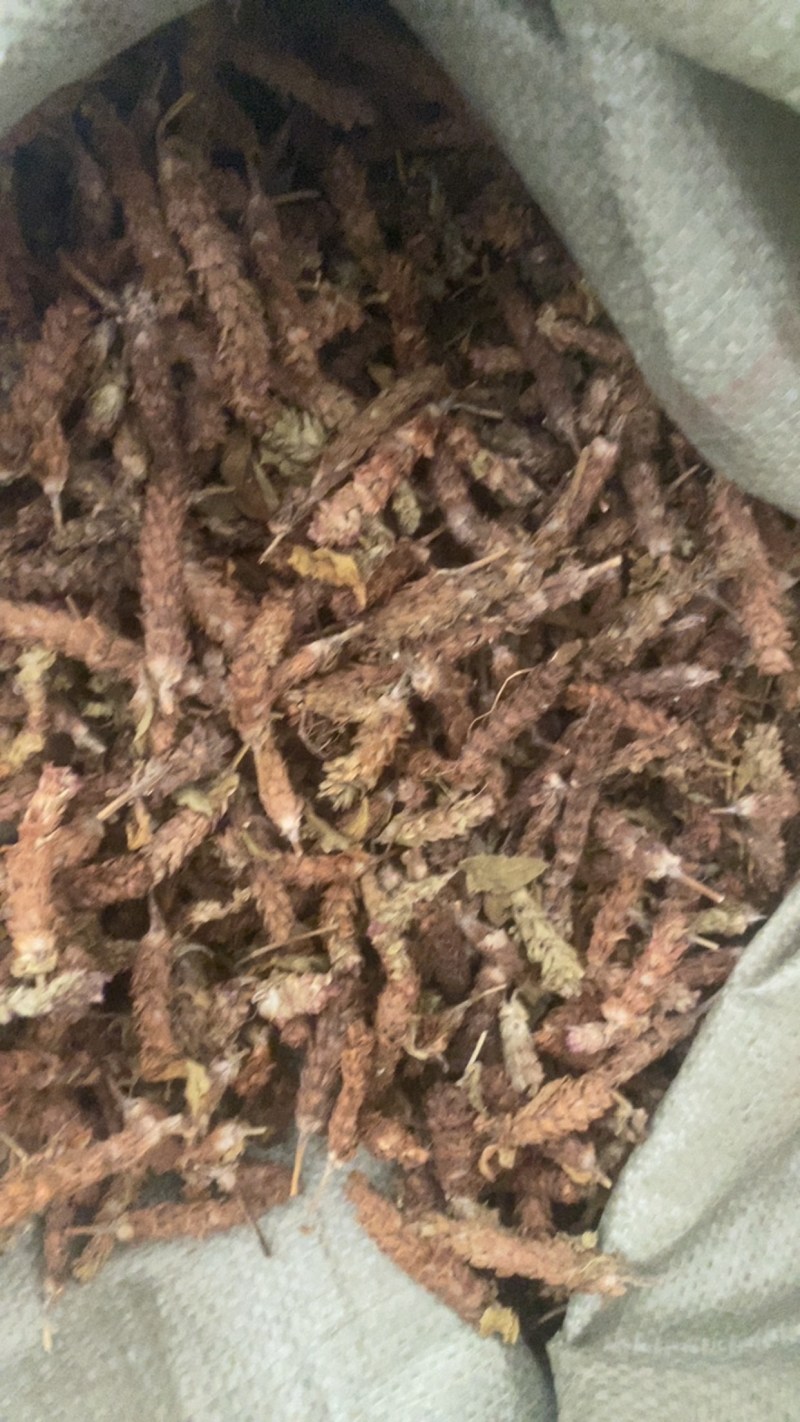 夏枯球便宜不贵又实惠欢迎咨询/线下10年老店/全国发货