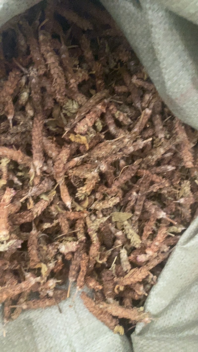 夏枯球便宜不贵又实惠欢迎咨询/线下10年老店/全国发货