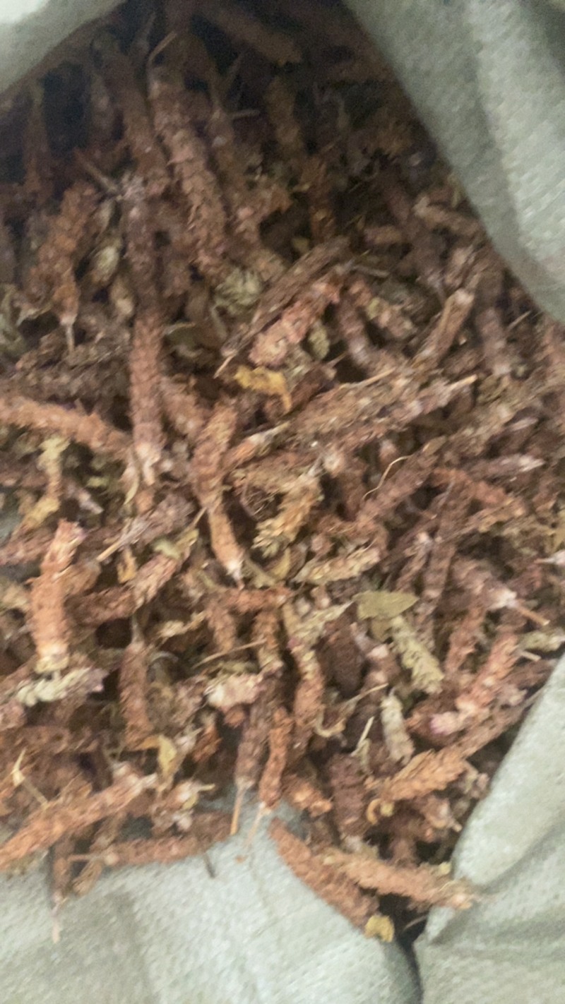 夏枯球便宜不贵又实惠欢迎咨询/线下10年老店/全国发货