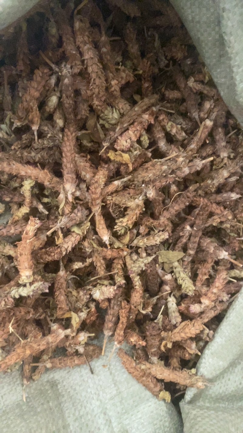 夏枯球便宜不贵又实惠欢迎咨询/线下10年老店/全国发货