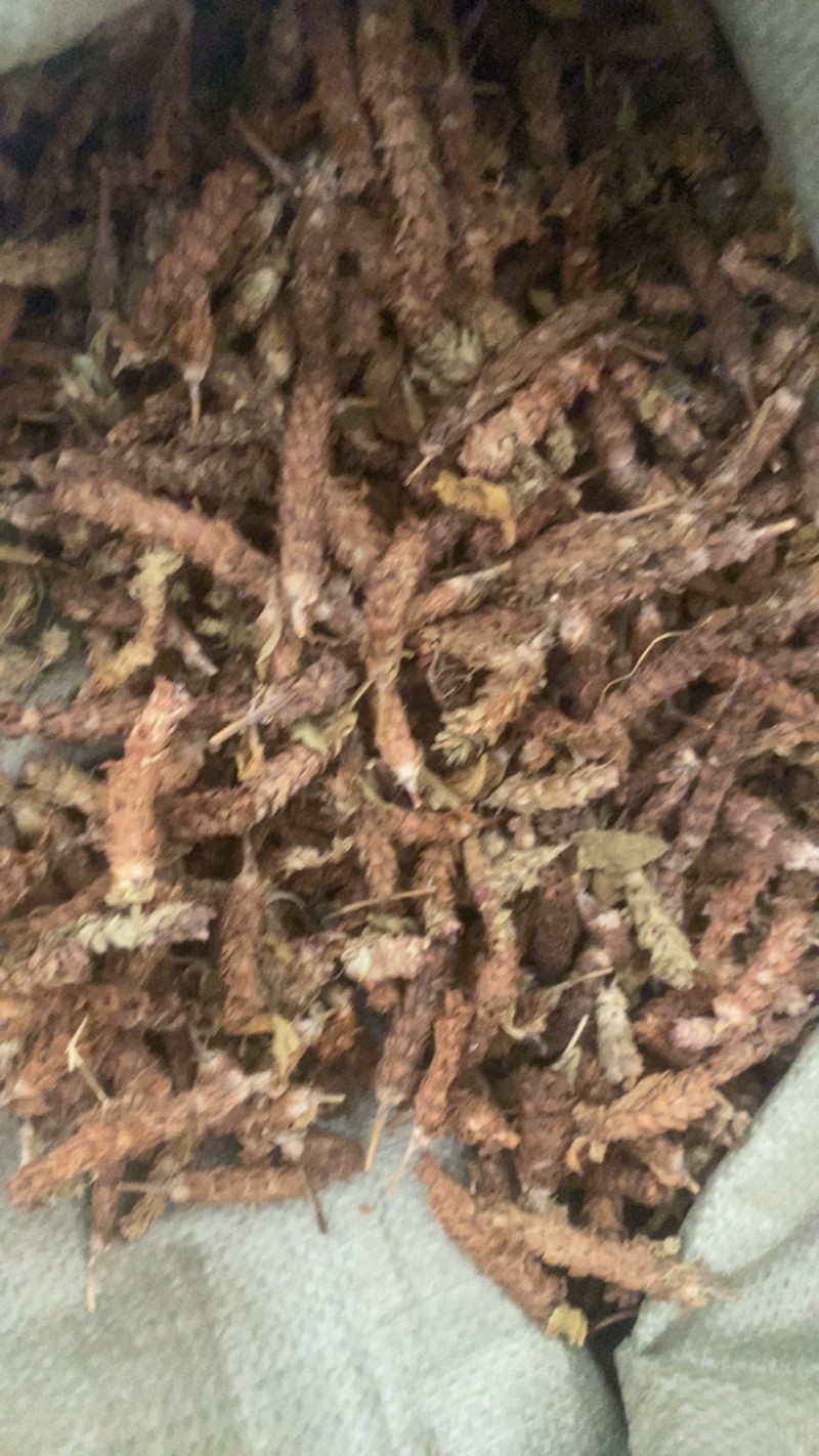 夏枯球便宜不贵又实惠欢迎咨询/线下10年老店/全国发货