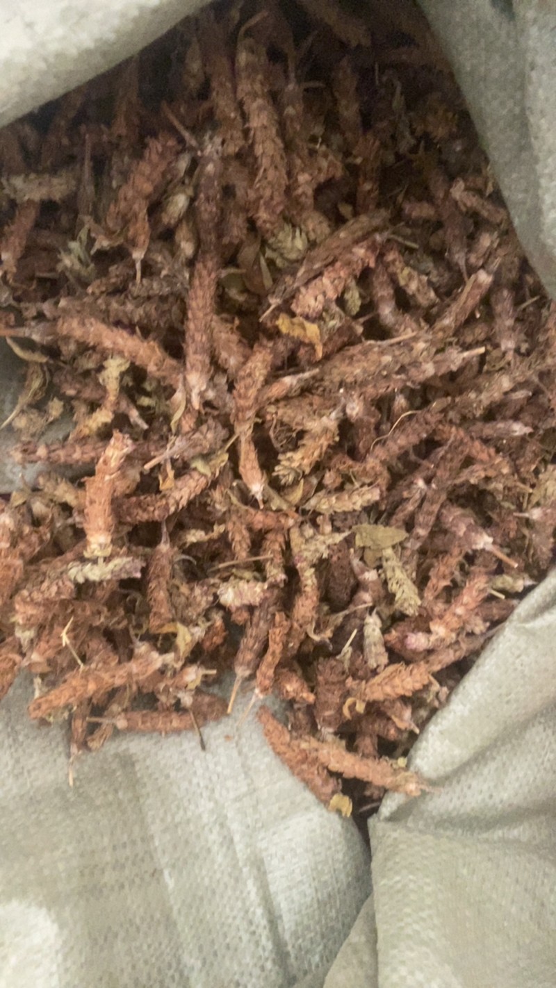 夏枯球便宜不贵又实惠欢迎咨询/线下10年老店/全国发货
