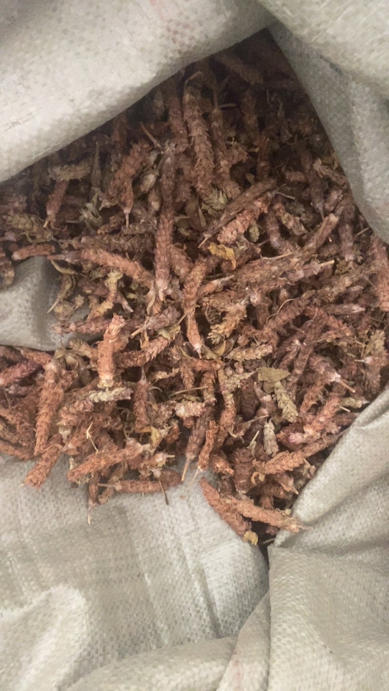 夏枯球便宜不贵又实惠欢迎咨询/线下10年老店/全国发货
