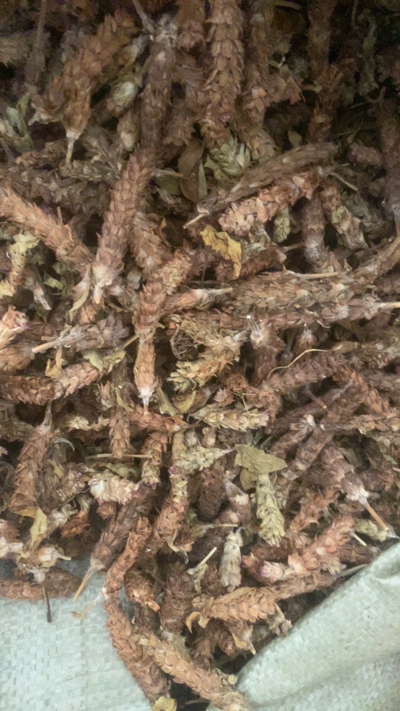 夏枯球便宜不贵又实惠欢迎咨询/线下10年老店/全国发货