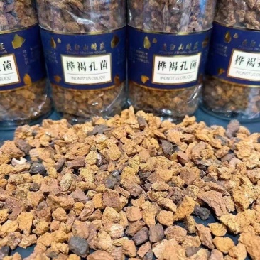 桦树茸，黄金颗粒，黑金颗粒，桦树粉，黑油颗粒原产地发货