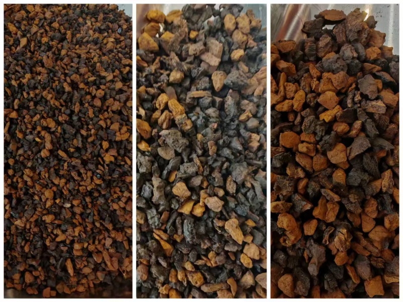 桦树茸，黄金颗粒，黑金颗粒，桦树粉，黑油颗粒原产地发货