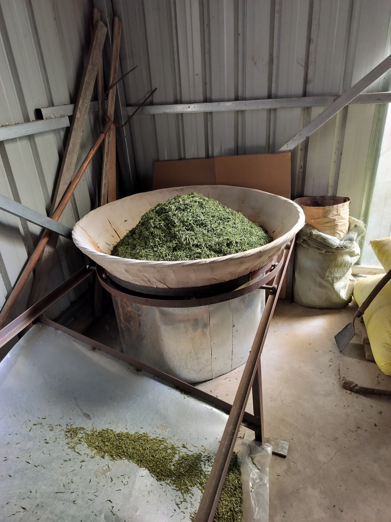 明前特级礼盒装500g大化坪茶王核心产区直销