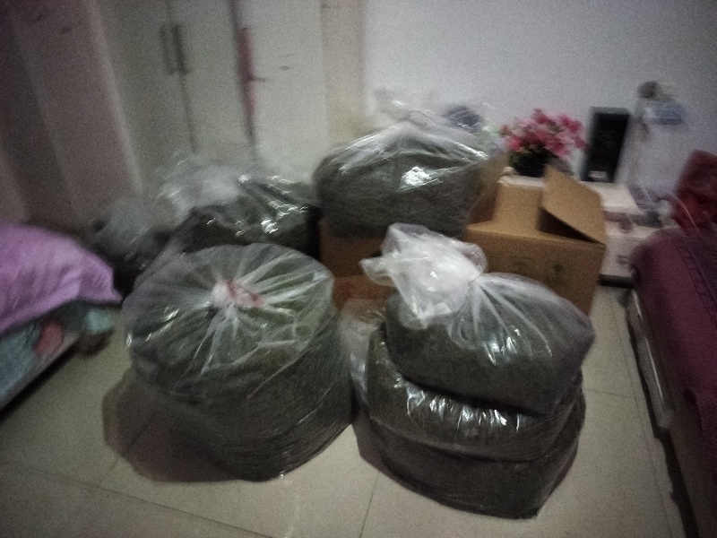 明前特级礼盒装500g大化坪茶王核心产区直销