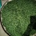 明前特级礼盒装500g大化坪茶王核心产区直销