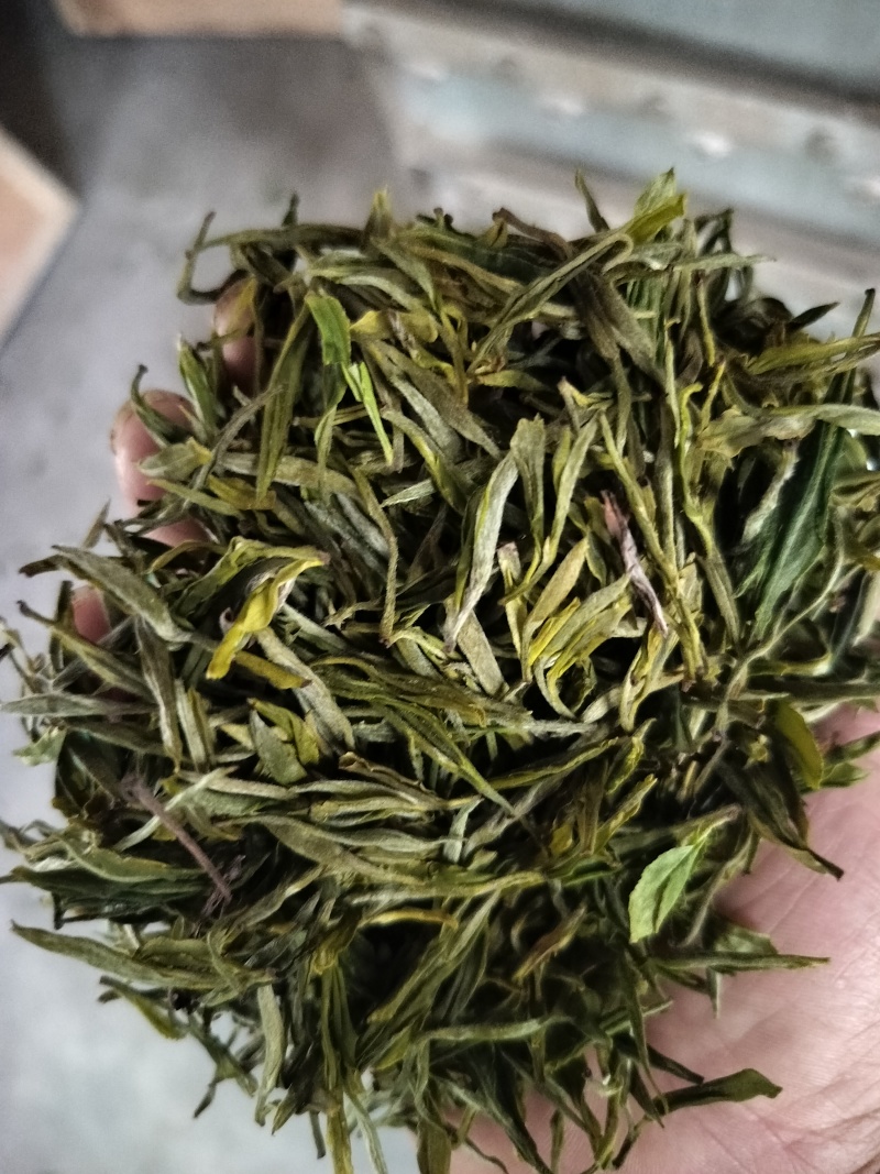 明前特级礼盒装500g大化坪茶王核心产区直销